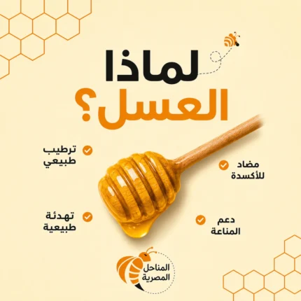 عسل نحل طبيعي 500 جم – منتج تجريبي